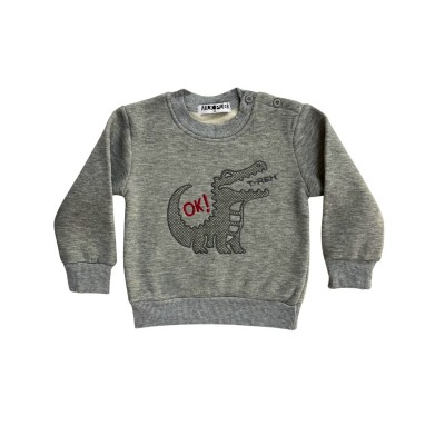 Σετ Φόρμα Αγόρι/ T-TEX Γκρι