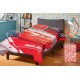 ΠΑΠΛΩΜΑ DISNEY CARS 04 160X250 Digital Print Microfiber 100%